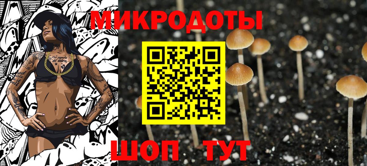 Псилоцибиновые грибы Magic Shrooms  Вход с VPN  Нижний Тагил  хочу наркоту  Галлюциногенные грибы Magic Shrooms 
