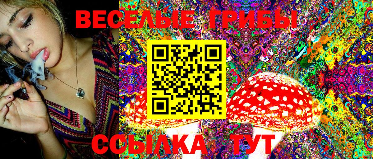 Псилоцибиновые грибы MAGIC MUSHROOMS Нижний Тагил
